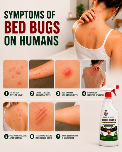 Bed Bug Killer Spray 500ml –  Kills Bed Bugs & Eggs (Indoor Safe)